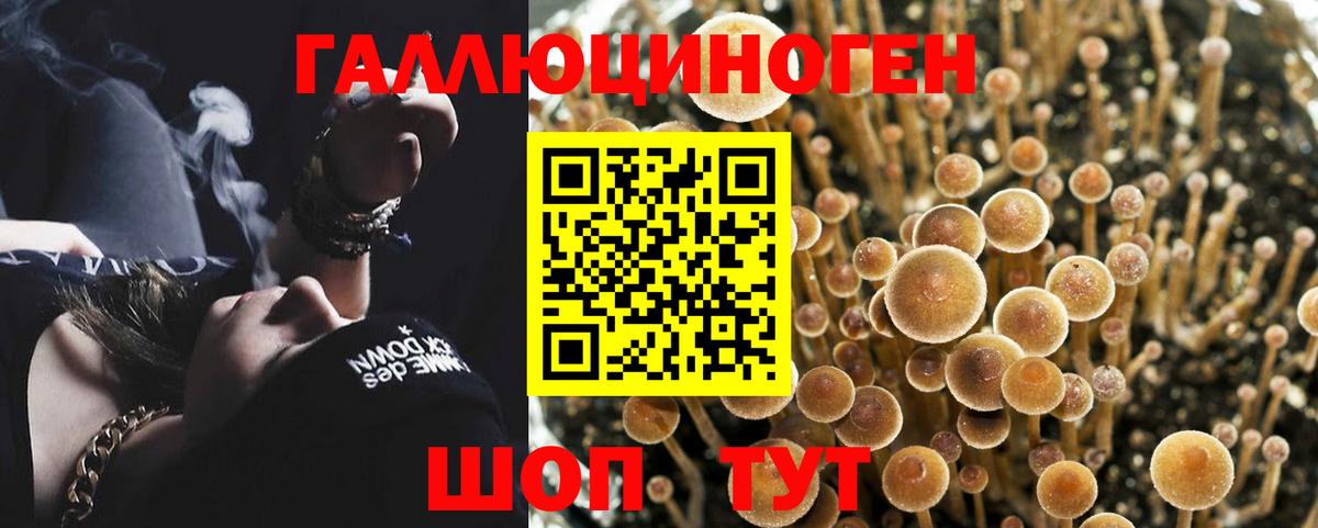 Апатиты  Галлюциногенные грибы мухоморы  Вход с VPN 